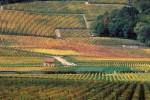 Les climats du vignoble de Bourgogne