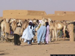 Les marchs d'Agadez
