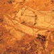 Sites fossilifres de mammifres d'Australie (Riversleigh / Naracoorte)
