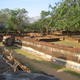 Cit historique de Polonnaruwa
