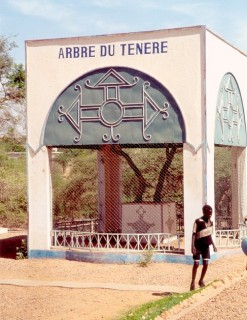L'arbre du Tnr au muse de Niamey