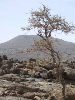 Idoukal n'Taghes, le plus haut sommet des Monts Bagzans, 2022m