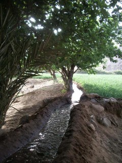 Irrigation des jardins - Aoukadd