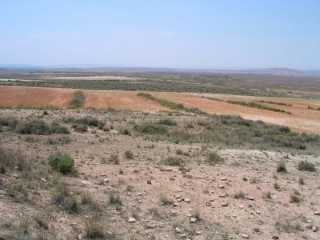 Photo de paysage dsertique entre Azaila et Belchite...