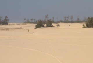 Dune Grande Cte