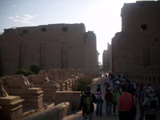 Karnak, alle des bliers