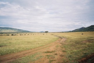 La plaine du Masa Mara