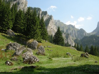 La valle de Gaura, Monts Bucegi