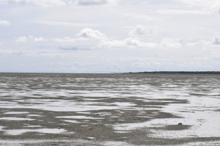 Le lac Etosha (2/3)
