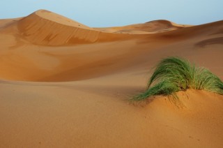 Les dunes de l'Erg Chebi