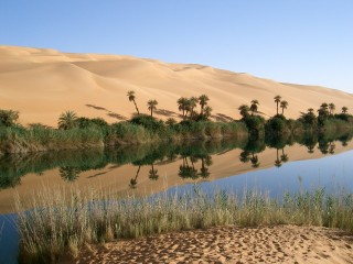 Les oasis dUbari