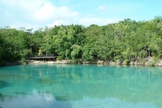 Parcours botanique : le lagon