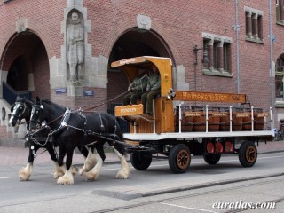 Transport de la bire en calche  Amsterdam