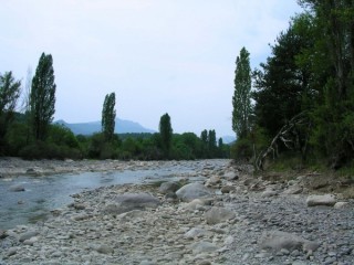 Le Rio Ara