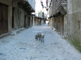 Photo du village de La Alberca (Castille-Lon)