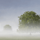 © Club des Voyages - Debrecen,HU le 07/12/2025  12:56 UTC