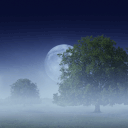 &copy; Club des Voyages - Van,TR le 15/12/2025 � 17:42 UTC