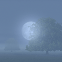 &copy; Club des Voyages - Pecs,HU le 16/12/2025 � 17:56 UTC