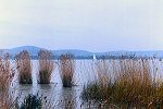 Le lac Balaton