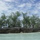 Atoll d'Aldabra