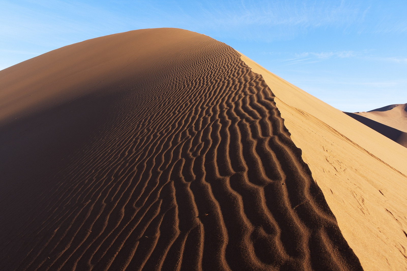 Paysage de dunes dans le désert du Namib