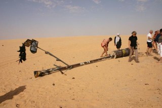 L'arbre du Tnr remis sur pied - 1