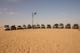 L'arbre du Tnr remis sur pied - 5