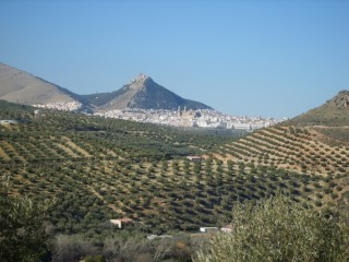 JAEN : Photo de la ville de Jaen (Andalousie)