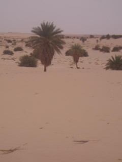 Adrar