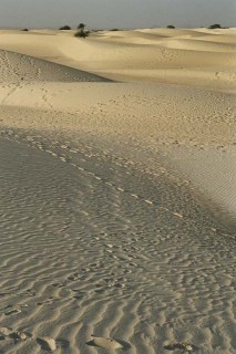 Dunes de sables (ESSAKNE-Tombouctou)