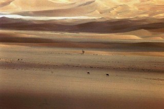 Adrar Chiriet la solitude des chameaux