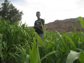 moi au jardin de mais  dades