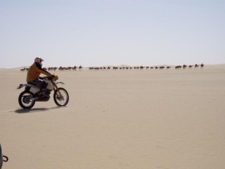 Moto contre dromadaires