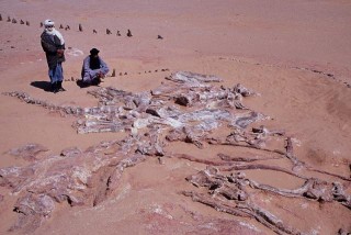 Site de Marandet dit 