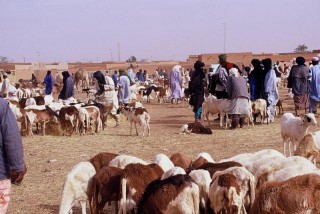 Le march aux bestiaux
