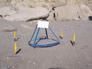 ATTENTION NID DE TORTUE !!!!