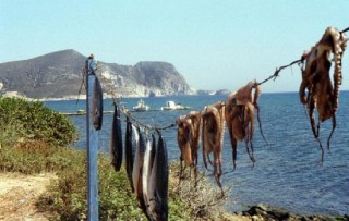 Agios Giorgos - Poulpes et poissons schants au so...