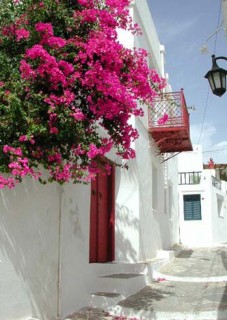 Apollonia - Alle centrale