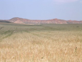 Photo du chteau de Alhama de Aragon (Aragon)