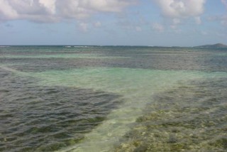 Baignoires au milieu des coraux