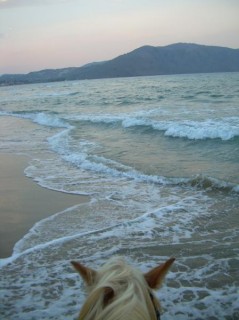 Balade  cheval sur la plage