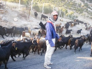 Berger dans la montagne