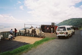 Boutique d'artisanat