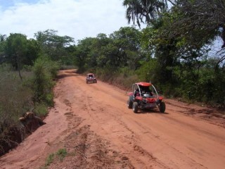 Buggy Safari