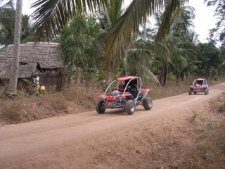 Buggy Safari