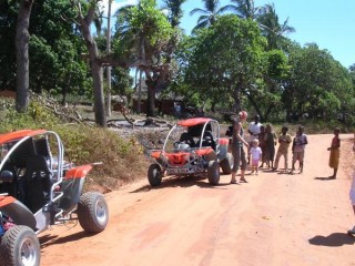 Buggy Safari