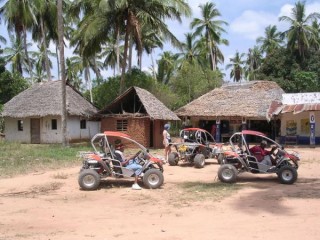 Buggy Safari