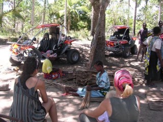 Buggy Safari