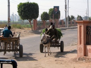 Carrioles de paysans  Edfou