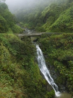 Cascade le long de Hana Highway